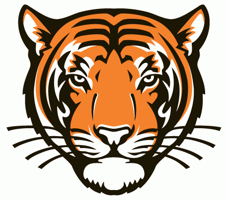 Princeton Tigers 2003-Pres Alternate Logo diy fabric transfer
